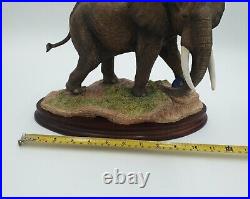 Border Fine Arts B1120 African Elephant By R J Roberts