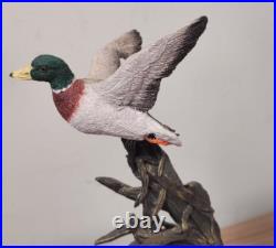 Border Fine Arts B1180 Ltd Edition Flushed Black And White Spaniel with Mallard