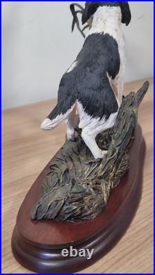 Border Fine Arts B1180 Ltd Edition Flushed Black And White Spaniel with Mallard