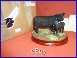 Border Fine Arts BFA Galloway Cow and Calf B1260A Ltd Edition
