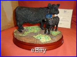 Border Fine Arts BFA Galloway Cow and Calf B1260A Ltd Edition