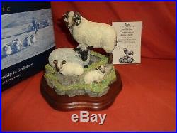 Border Fine Arts BFA Shetland Sheep Family Group B0597C (Katmoget) Ltd Edition