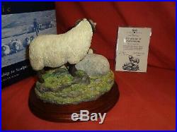 Border Fine Arts BFA Shetland Sheep Family Group B0597C (Katmoget) Ltd Edition