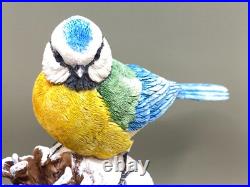 Border Fine Arts BLUE TIT No. B0022 by Russell Willis 1996 ORIGINAL BOX Border Fine Arts BLUE TIT No. B0022 by Russell Willis 1996 ORIGINAL BOX