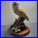 Border-Fine-Arts-Barn-Owl-Figurine-On-the-lookout-BO276-1997-by-David-Walton-01-jh