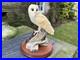 Border-Fine-Arts-Barn-Owl-Figurine-On-the-lookout-BO276-1997-by-David-Walton-01-pvn
