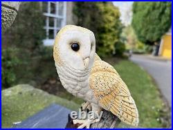 Border Fine Arts Barn Owl Figurine'On the lookout' BO276 1997 by David Walton