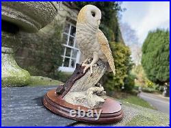 Border Fine Arts Barn Owl Figurine'On the lookout' BO276 1997 by David Walton