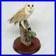 Border-Fine-Arts-Barn-Owl-RB15-Sculpture-by-Ray-Ayres-1989-HAND-MADE-IN-SCOTLAND-01-qy