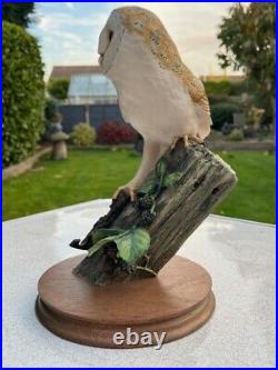 Border Fine Arts Barn Owl Sculpture RB15 Hand Made In Scotland 1990