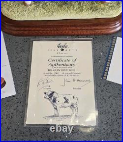 Border Fine Arts Belgian Blue Bull B0406 LTD Edition 262 of 1250 Very Rare Boxed
