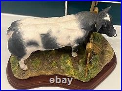 Border Fine Arts'Belgian Blue Bull', model No. A8953 FARMING TODAY COLLECTION