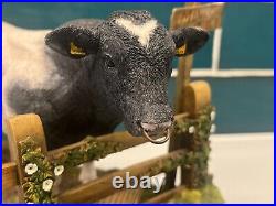 Border Fine Arts'Belgian Blue Bull', model No. A8953 FARMING TODAY COLLECTION