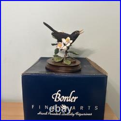 Border Fine Arts Bird L90 Blackbird Ltd Ed 476/1850 New Original In It's Boxes