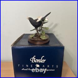 Border Fine Arts Bird L90 Blackbird Ltd Ed 476/1850 New Original In It's Boxes