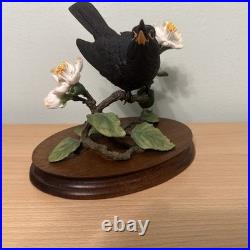 Border Fine Arts Bird L90 Blackbird Ltd Ed 476/1850 New Original In It's Boxes