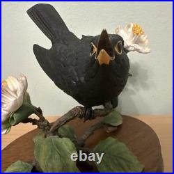 Border Fine Arts Bird L90 Blackbird Ltd Ed 476/1850 New Original In It's Boxes