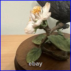 Border Fine Arts Bird L90 Blackbird Ltd Ed 476/1850 New Original In It's Boxes