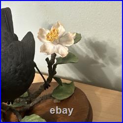 Border Fine Arts Bird L90 Blackbird Ltd Ed 476/1850 New Original In It's Boxes