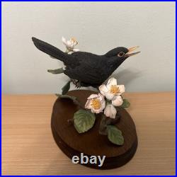 Border Fine Arts Bird L90 Blackbird Ltd Ed 476/1850 New Original In It's Boxes