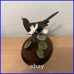Border Fine Arts Bird L90 Blackbird Ltd Ed 476/1850 New Original In It's Boxes