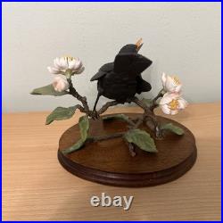 Border Fine Arts Bird L90 Blackbird Ltd Ed 476/1850 New Original In It's Boxes