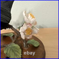 Border Fine Arts Bird L90 Blackbird Ltd Ed 476/1850 New Original In It's Boxes