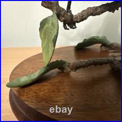 Border Fine Arts Bird L90 Blackbird Ltd Ed 476/1850 New Original In It's Boxes