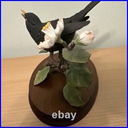 Border Fine Arts Bird L90 Blackbird Ltd Ed 476/1850 New Original In It's Boxes