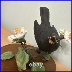 Border Fine Arts Bird L90 Blackbird Ltd Ed 476/1850 New Original In It's Boxes