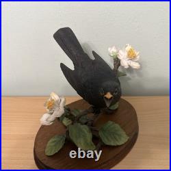 Border Fine Arts Bird L90 Blackbird Ltd Ed 476/1850 New Original In It's Boxes