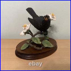 Border Fine Arts Bird L90 Blackbird Ltd Ed 476/1850 New Original In It's Boxes