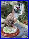 Border-Fine-Arts-Birds-Collection-by-Russell-Willis-A0660-Partridge-2000-01-fta