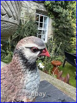 Border Fine Arts Birds Collection by Russell Willis A0660'Partridge' 2000