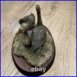 Border Fine Arts Birds Greyleg Geese Ltd 950