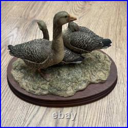 Border Fine Arts Birds Greyleg Geese Ltd 950