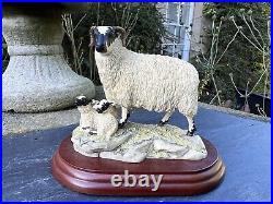 Border Fine Arts'Black Face Ewe & Lambs' Model B124 Ray Ayres 1996