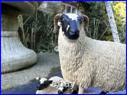 Border Fine Arts'Black Face Ewe & Lambs' Model B124 Ray Ayres 1996 Border Fine Arts'Black Face Ewe & Lambs' Model B124 Ray Ayres 1996
