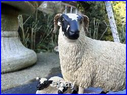 Border Fine Arts'Black Face Ewe & Lambs' Model B124 Ray Ayres 1996