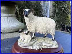 Border Fine Arts'Black Face Ewe & Lambs' Model B124 Ray Ayres 1996 Border Fine Arts'Black Face Ewe & Lambs' Model B124 Ray Ayres 1996