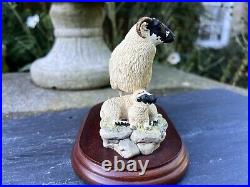 Border Fine Arts'Black Face Ewe & Lambs' Model B124 Ray Ayres 1996