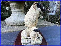 Border Fine Arts'Black Face Ewe & Lambs' Model B124 Ray Ayres 1996