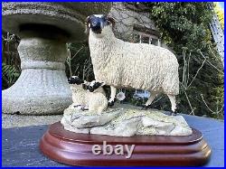 Border Fine Arts'Black Face Ewe & Lambs' Model B124 Ray Ayres 1996