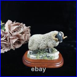 Border Fine Arts Black Faced Tup Figurine by Anne Wall, 1995 The County Show