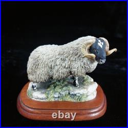 Border Fine Arts Black Faced Tup Figurine by Anne Wall, 1995 The County Show