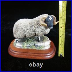 Border Fine Arts Black Faced Tup Figurine by Anne Wall, 1995 The County Show