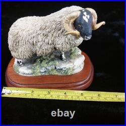 Border Fine Arts Black Faced Tup Figurine by Anne Wall, 1995 The County Show