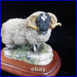 Border Fine Arts Black Faced Tup Figurine by Anne Wall, 1995 The County Show