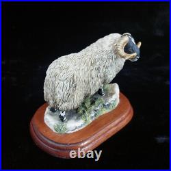 Border Fine Arts Black Faced Tup Figurine by Anne Wall, 1995 The County Show