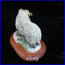 Border Fine Arts Black Faced Tup Figurine by Anne Wall, 1995 The County Show